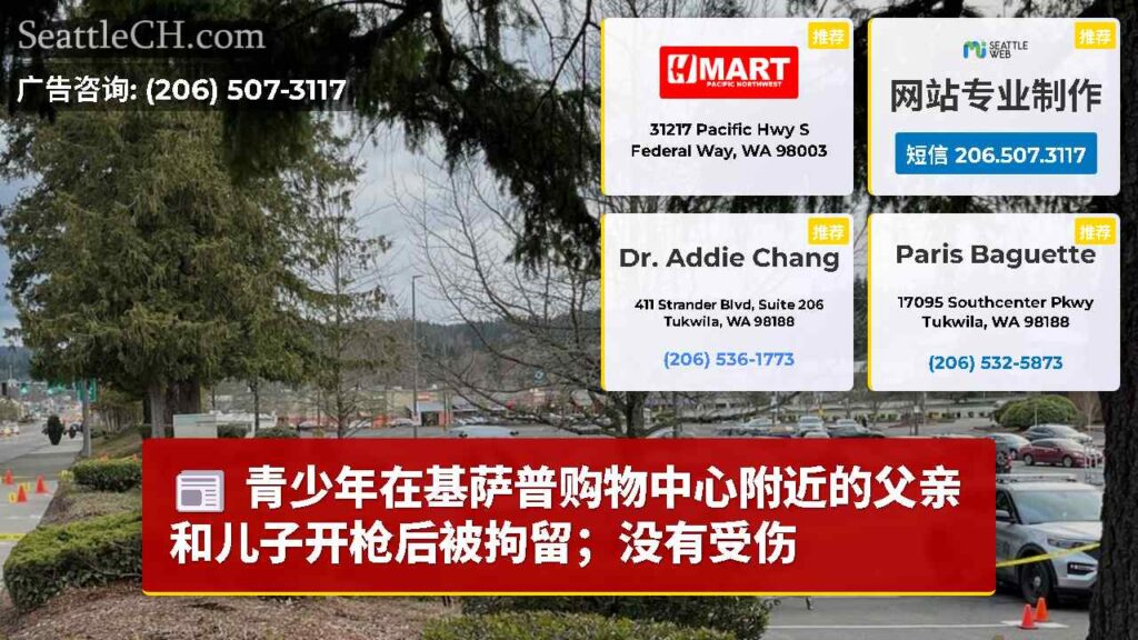 青少年在基萨普购物中心附近的父亲和儿子开枪后被拘留；没有受伤