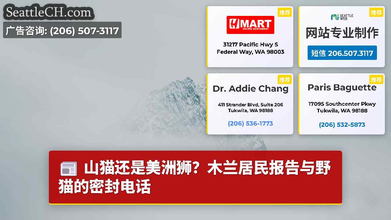 西雅图新闻 SeattleCH