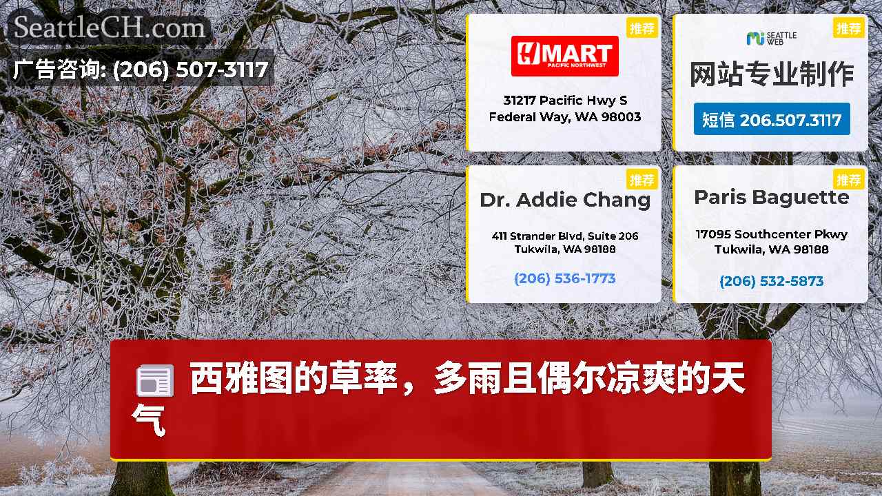 西雅图新闻 SeattleCH