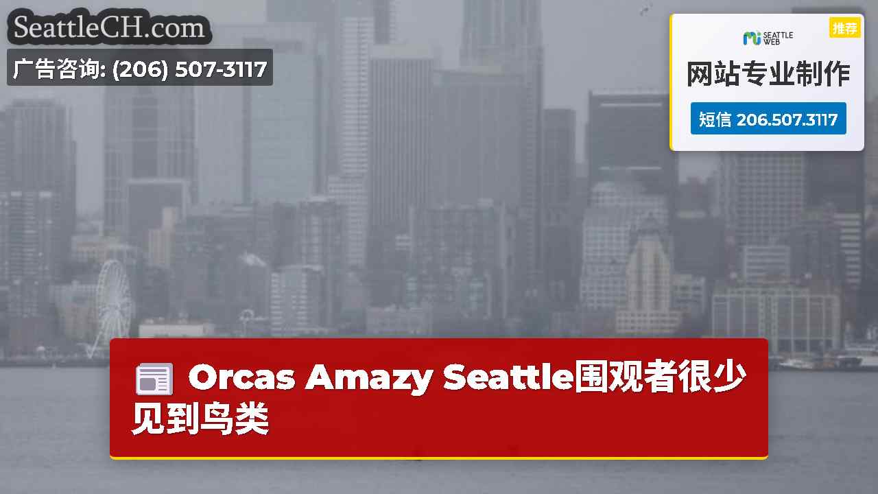 西雅图新闻 SeattleCH