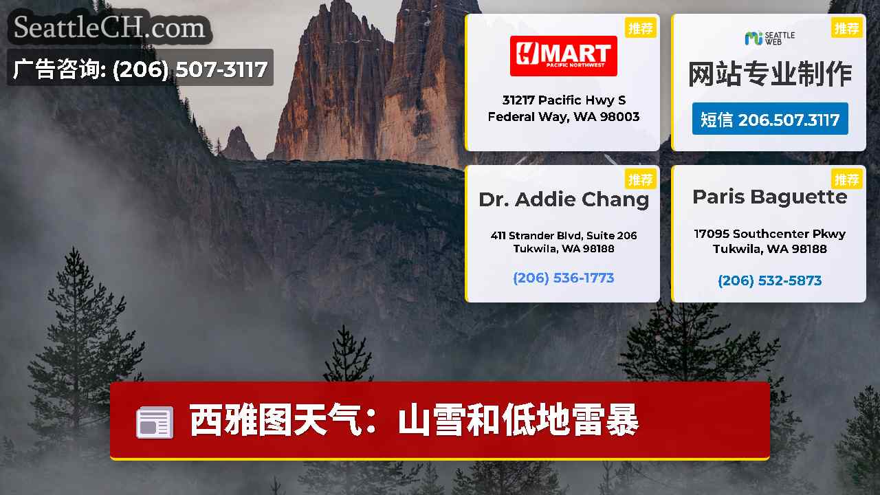 西雅图新闻 SeattleCH