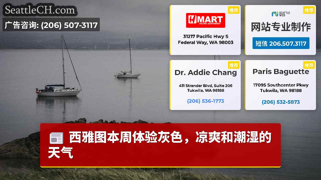 西雅图新闻 SeattleCH
