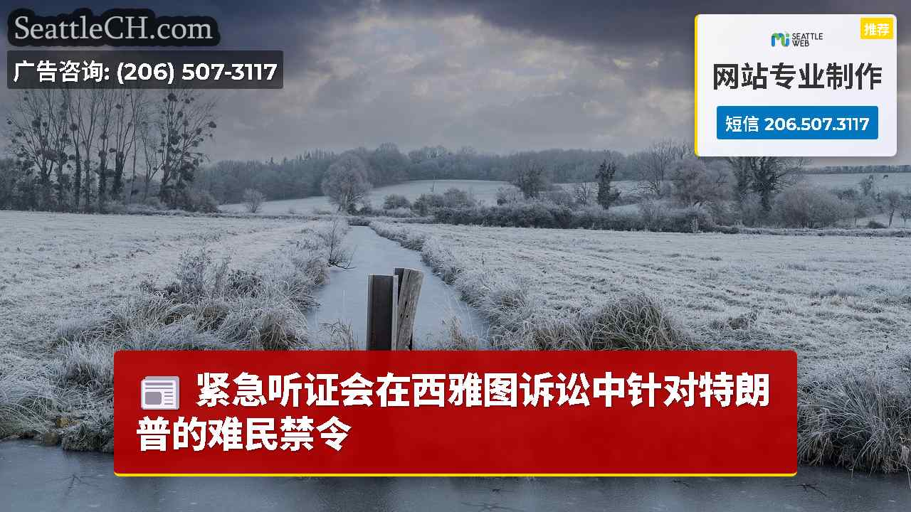 紧急听证会在西雅图诉讼中针对特朗普的难民禁令