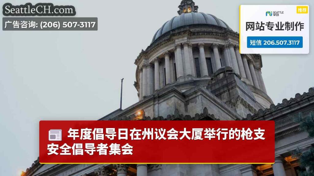 年度倡导日在州议会大厦举行的枪支安全倡导者集会