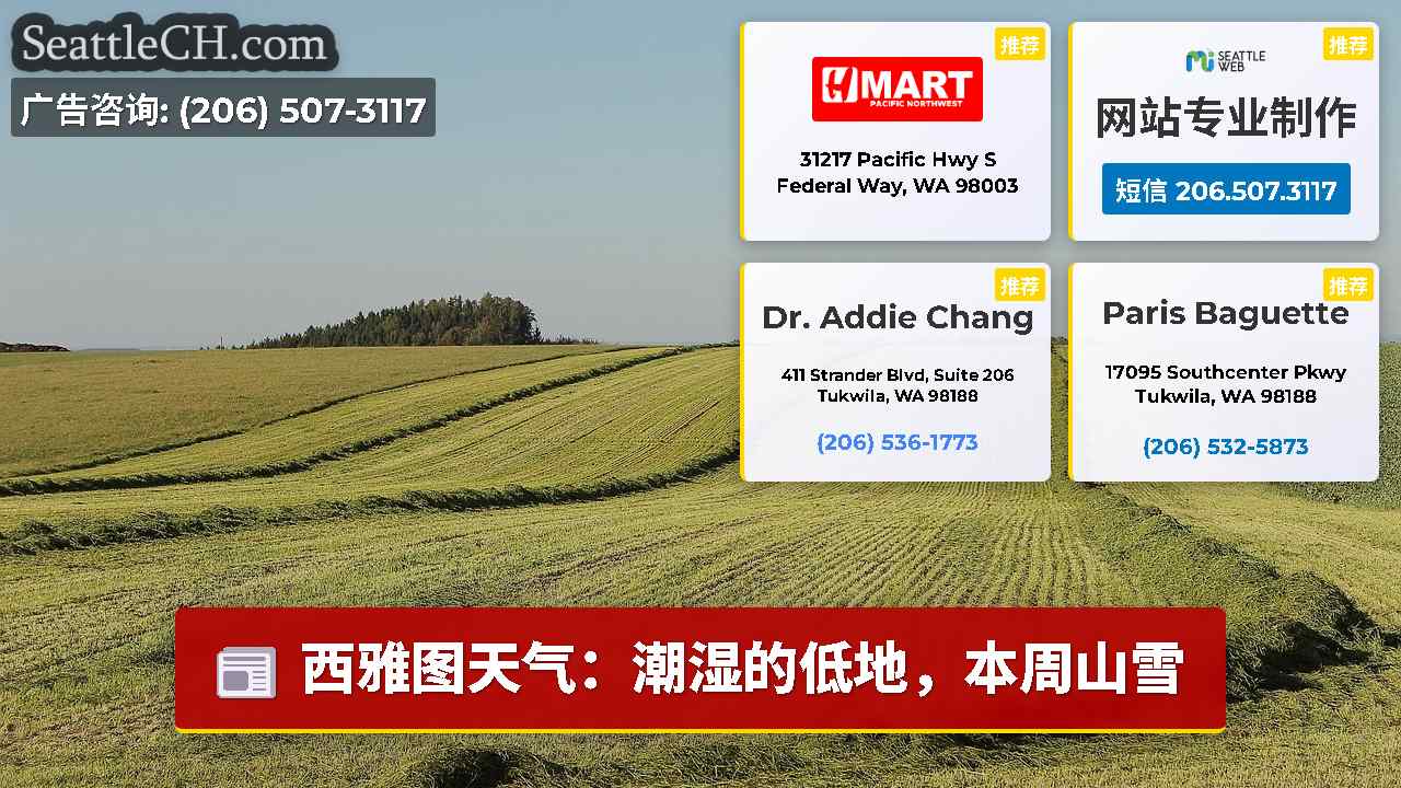 西雅图新闻 SeattleCH