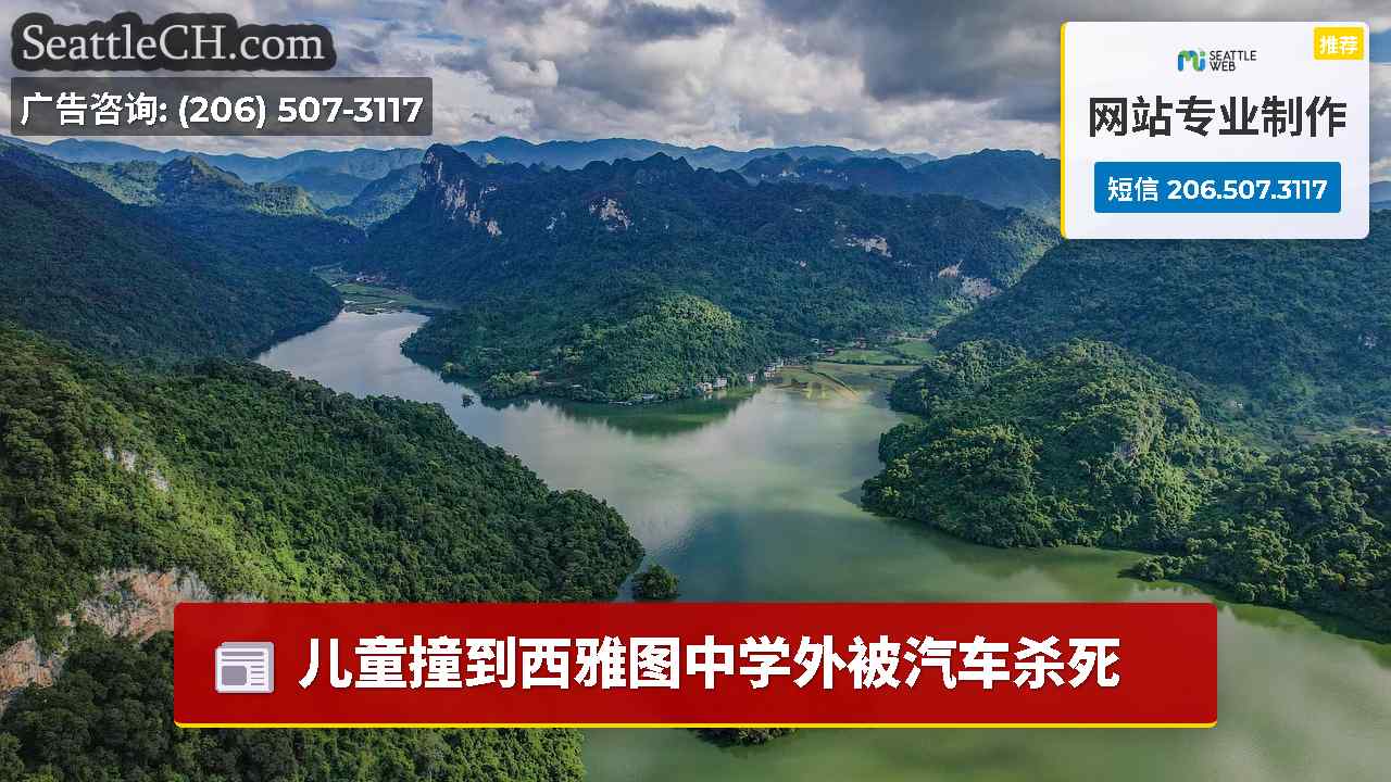 儿童撞到西雅图中学外被汽车杀死