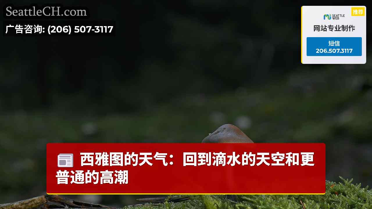 西雅图新闻 SeattleCH