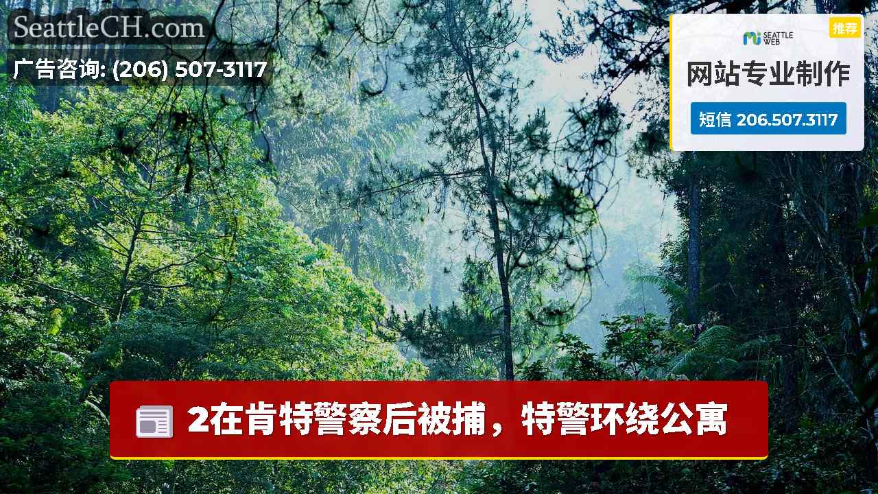 西雅图新闻 SeattleCH