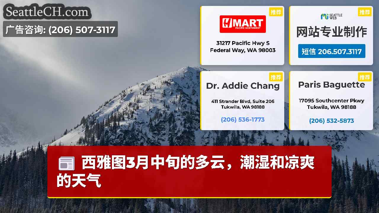 西雅图新闻 SeattleCH