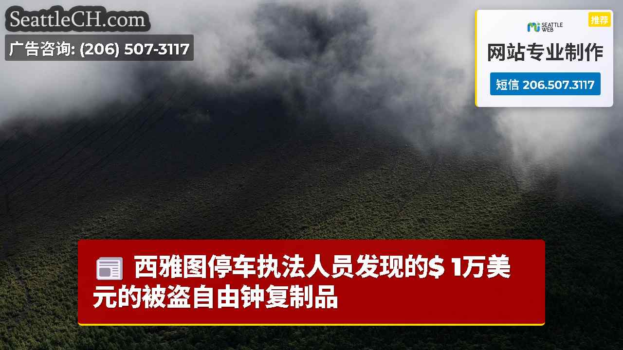 西雅图停车执法人员发现的$ 1万美元的被盗自由钟复制品