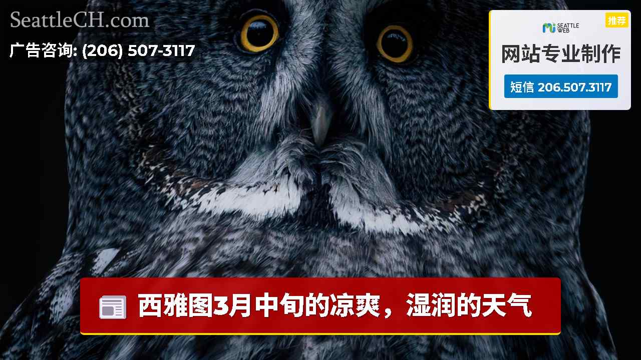 西雅图新闻 SeattleCH