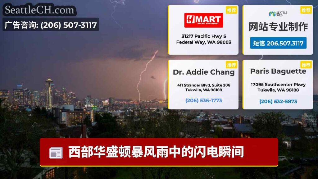 西部华盛顿暴风雨中的闪电瞬间