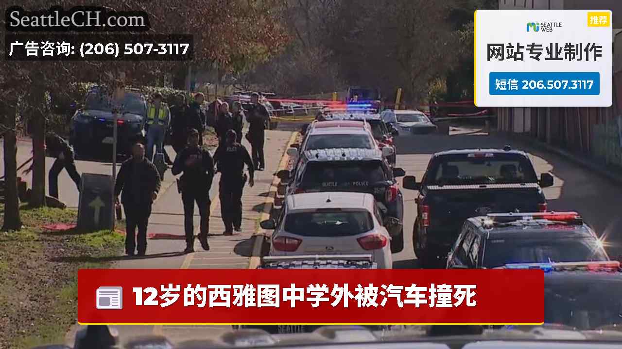 12岁的西雅图中学外被汽车撞死