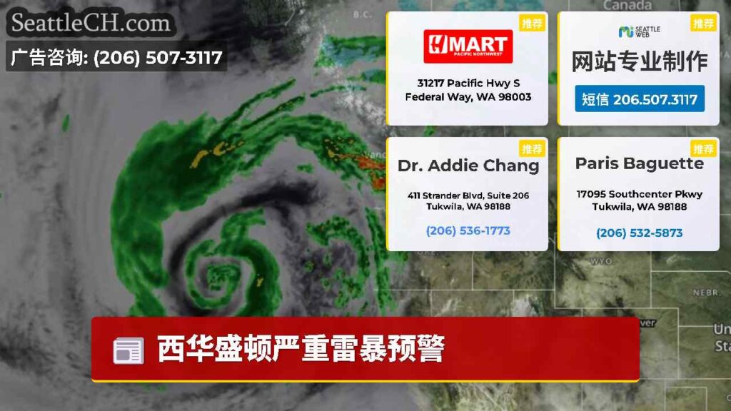 西华盛顿严重雷暴预警