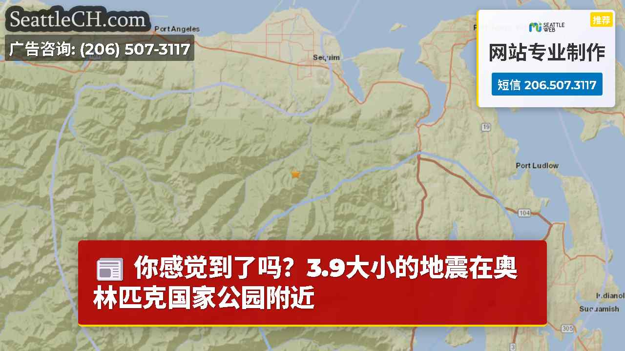 你感觉到了吗？3.9大小的地震在奥林匹克国家公园附近