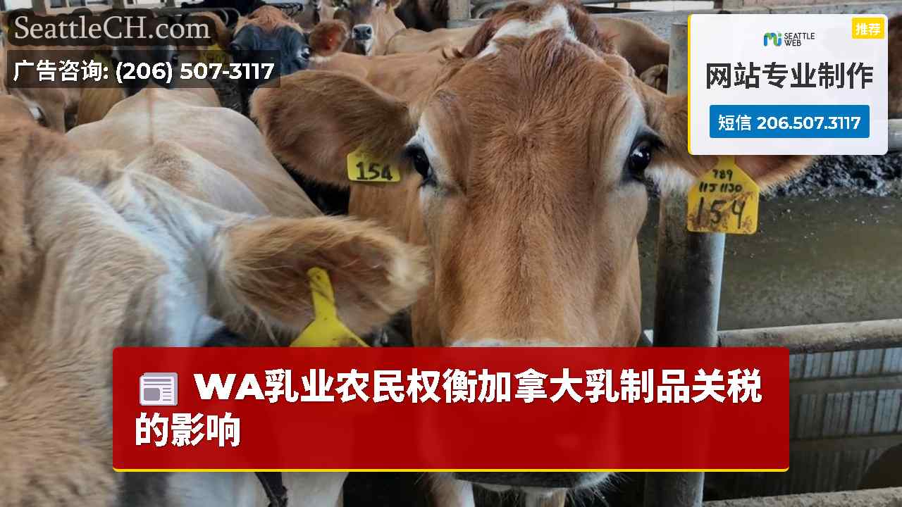 WA乳业农民权衡加拿大乳制品关税的影响