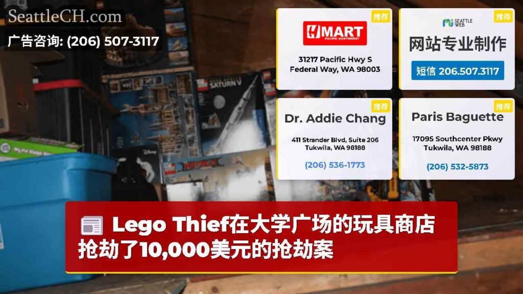 Lego Thief在大学广场的玩具商店抢劫了10,000美元的抢劫案