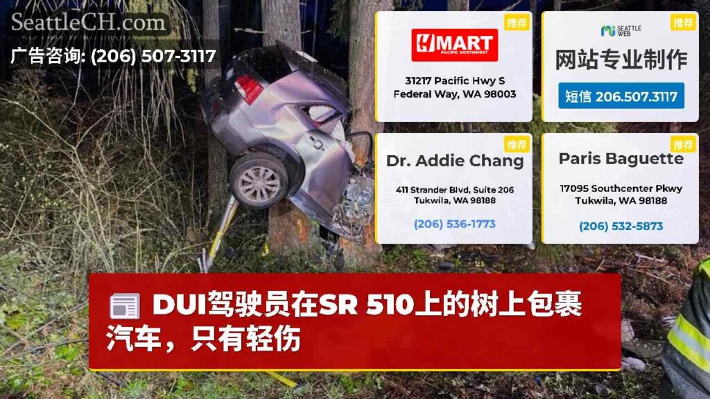 DUI驾驶员在SR 510上的树上包裹汽车，只有轻伤