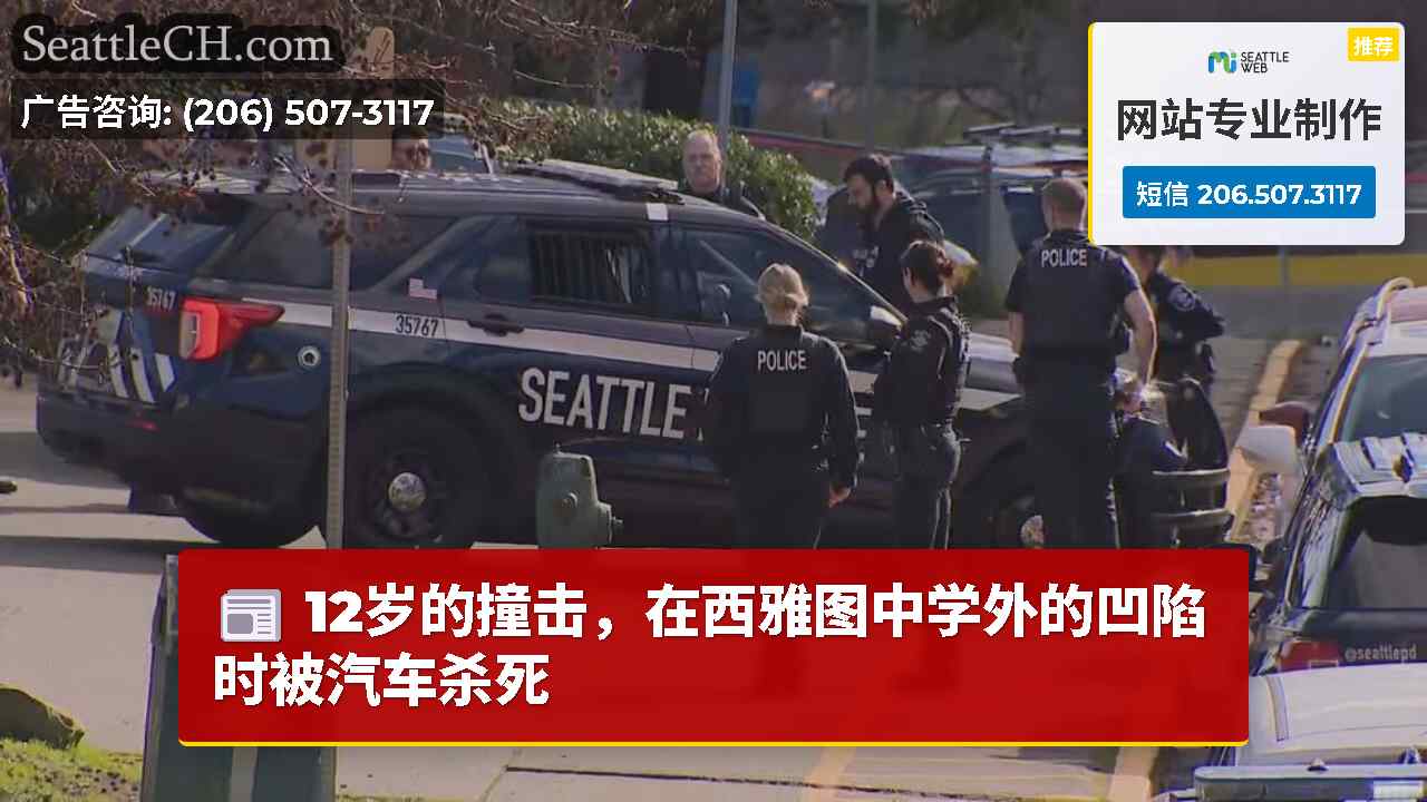 12岁的撞击，在西雅图中学外的凹陷时被汽车杀死