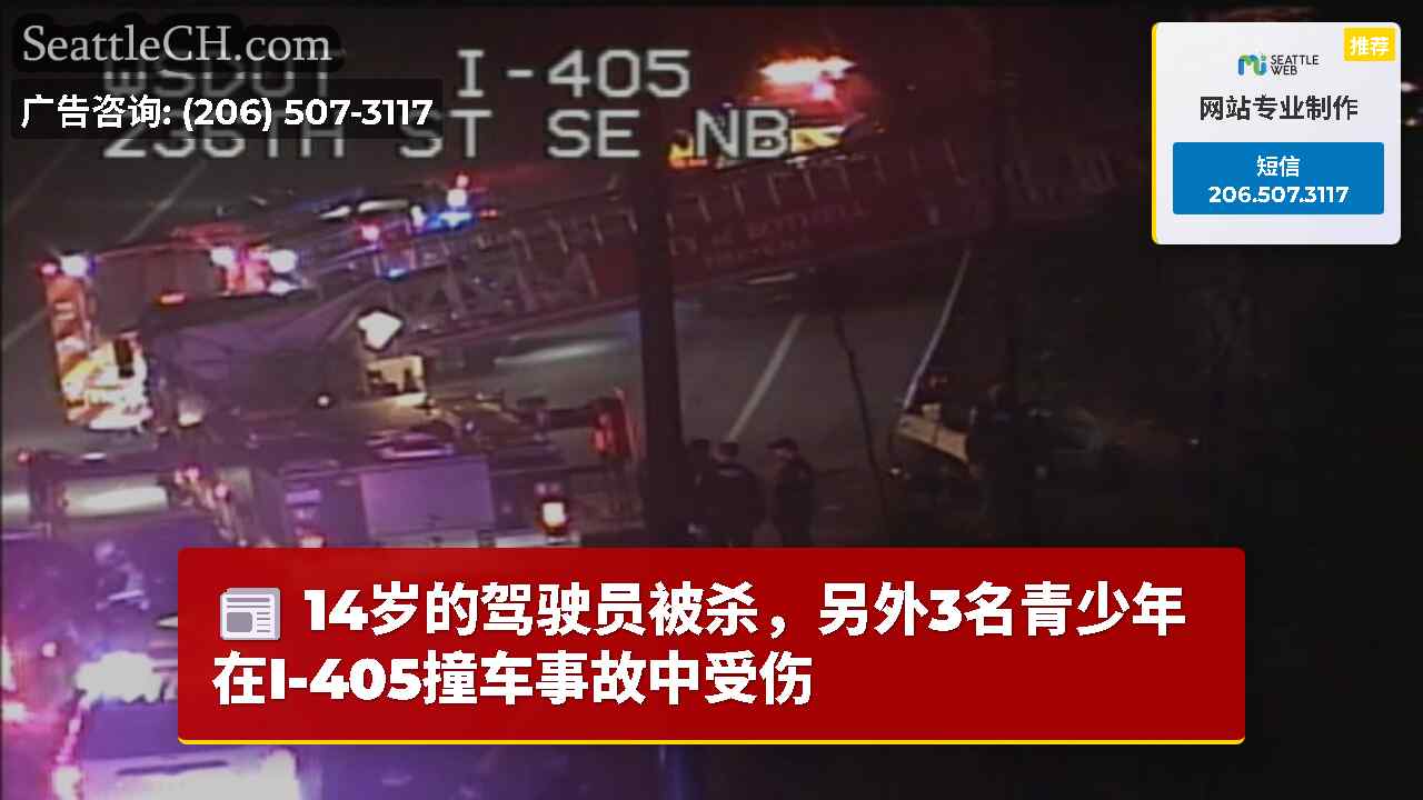 14岁的驾驶员被杀，另外3名青少年在I-405撞车事故中受伤