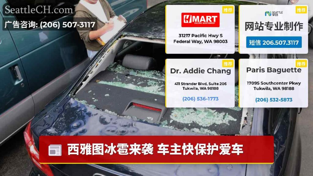 西雅图冰雹来袭 车主快保护爱车