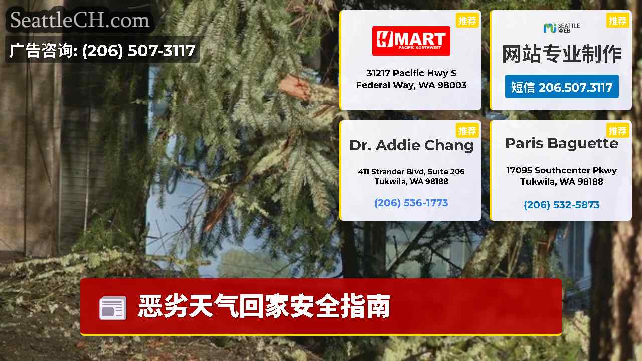 西雅图新闻 SeattleCH