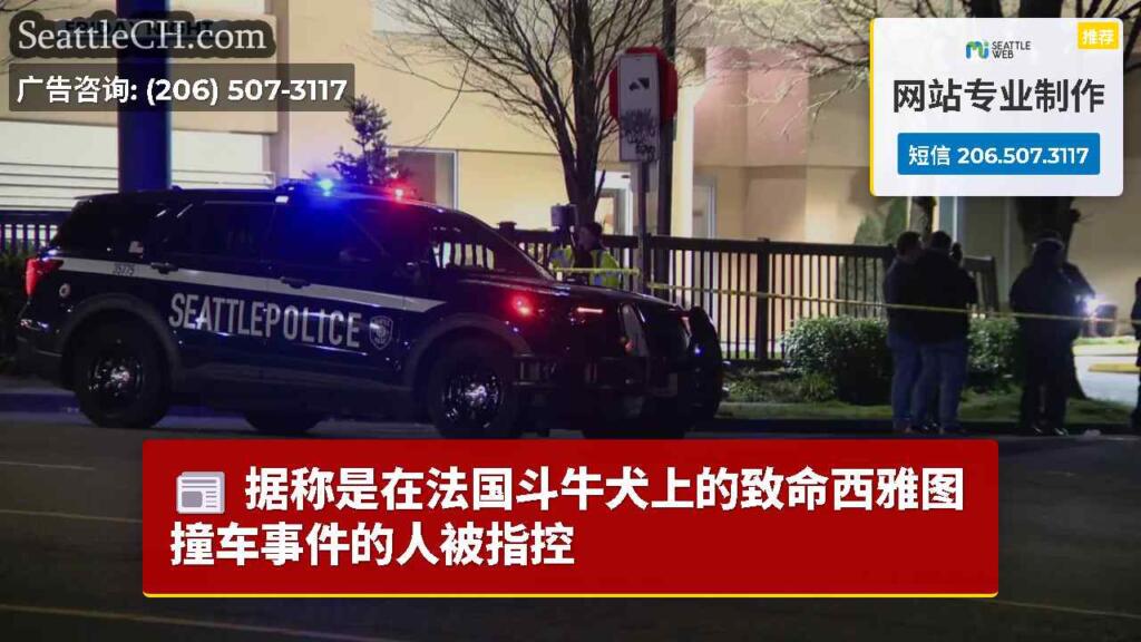 据称是在法国斗牛犬上的致命西雅图撞车事件的人被指控