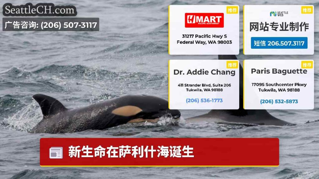 新生命在萨利什海诞生