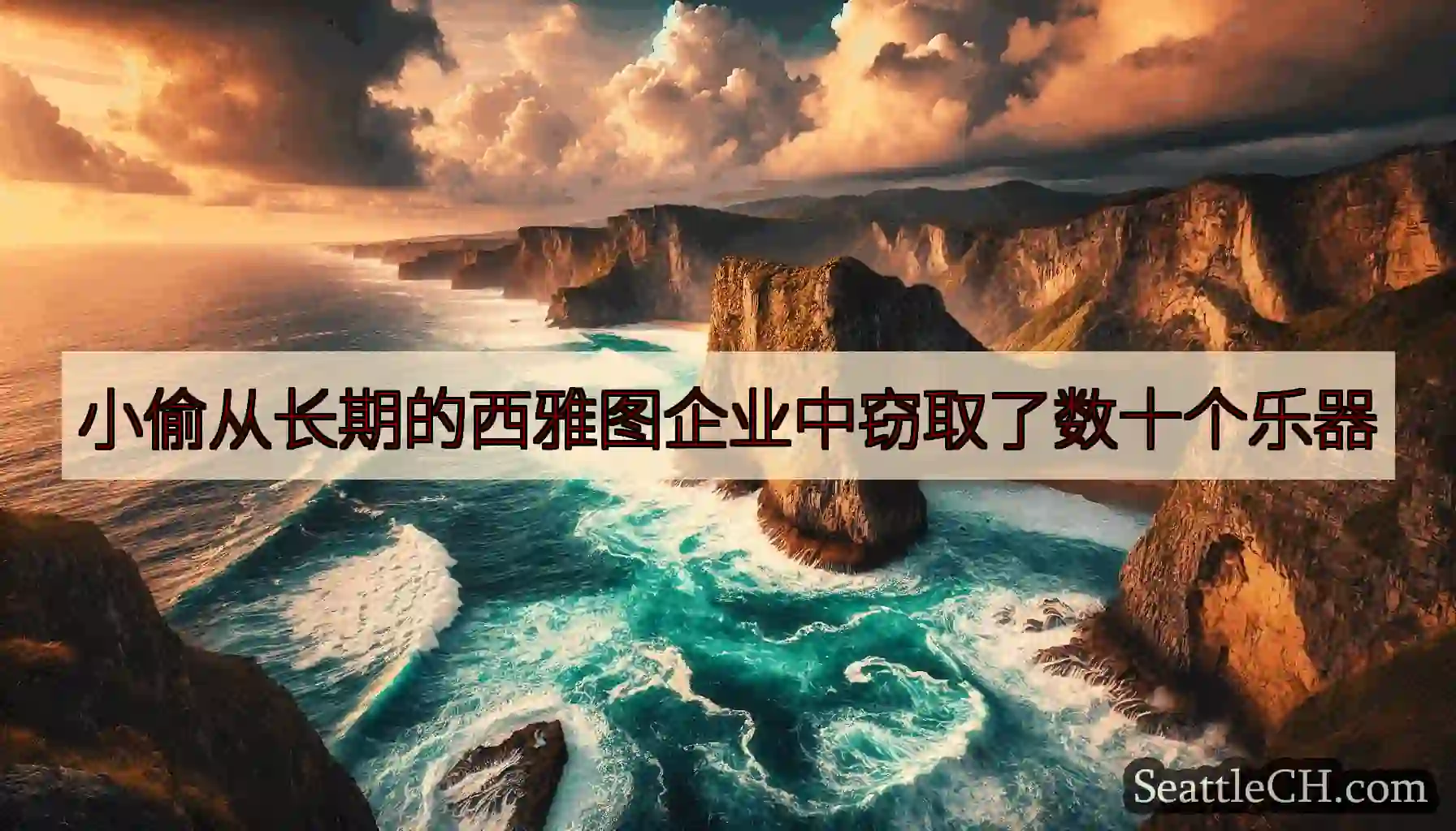 小偷从长期的西雅图企业中窃取了数十个乐器