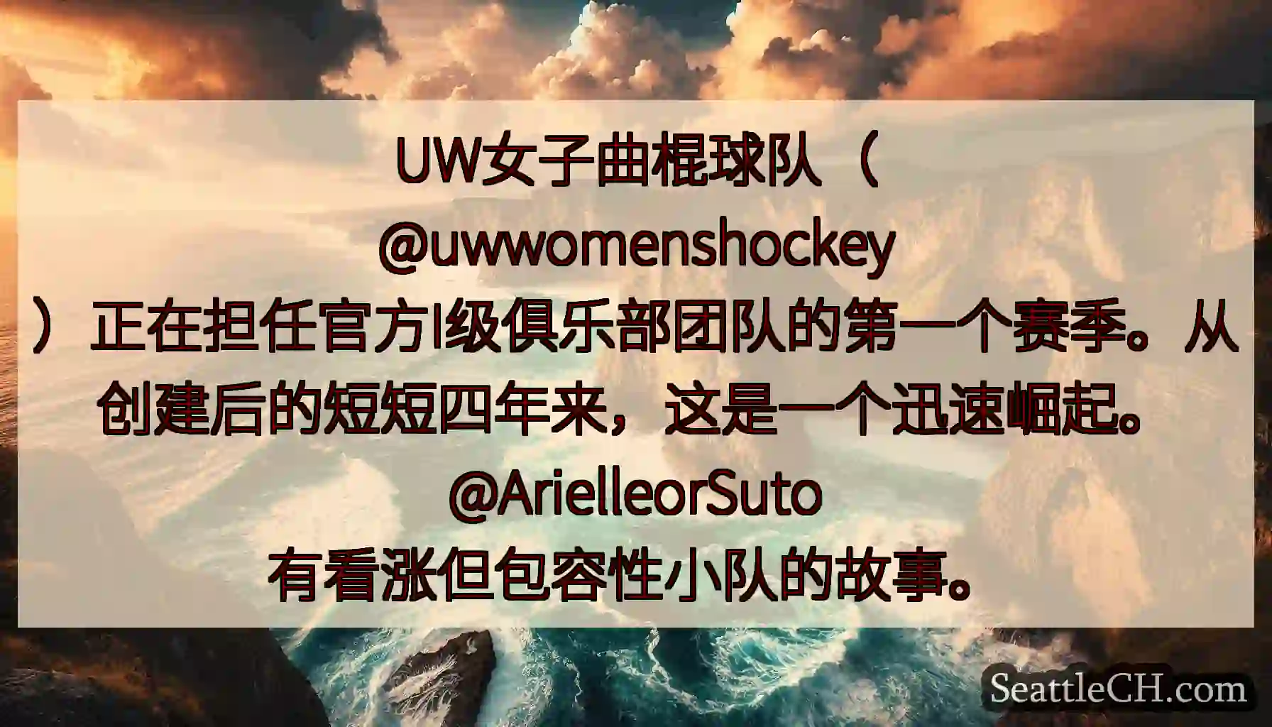 UW女子曲棍球队（