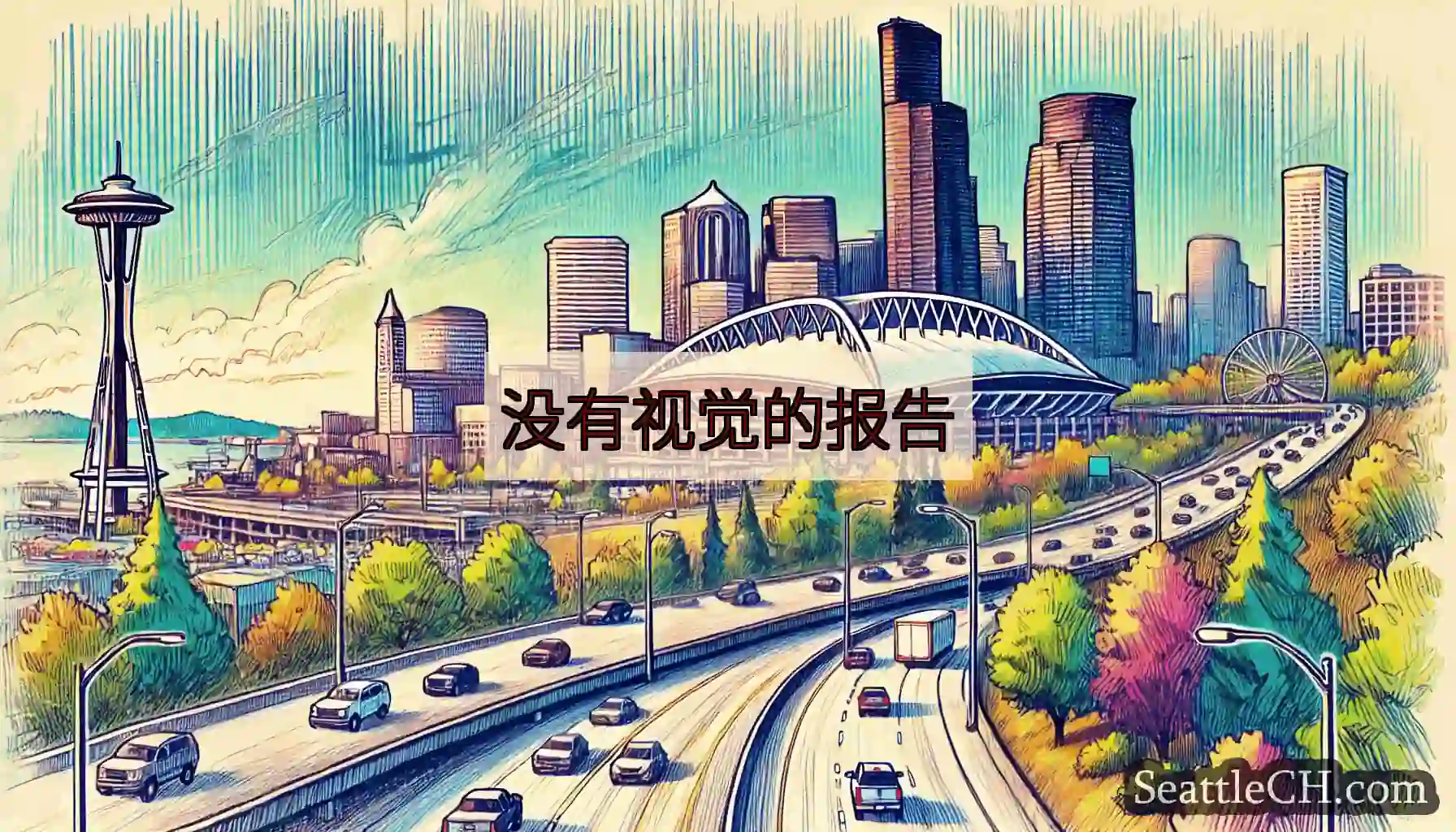 没有视觉的报告