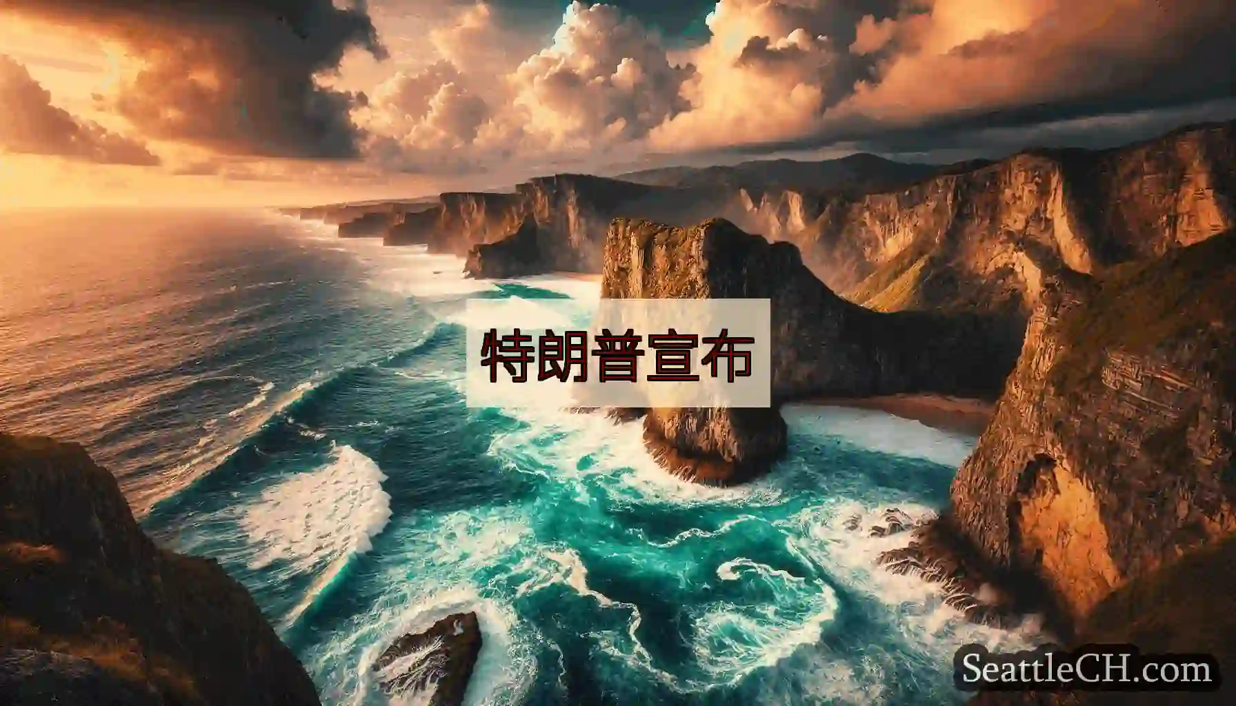 特朗普宣布