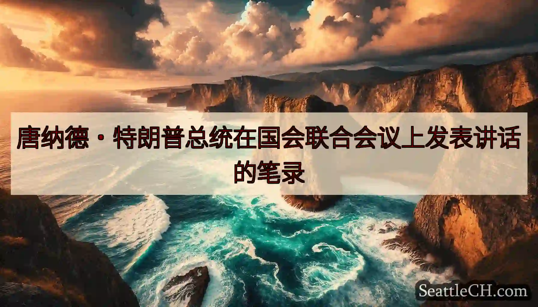 唐纳德·特朗普总统在国会联合会议上发表讲话的笔录
