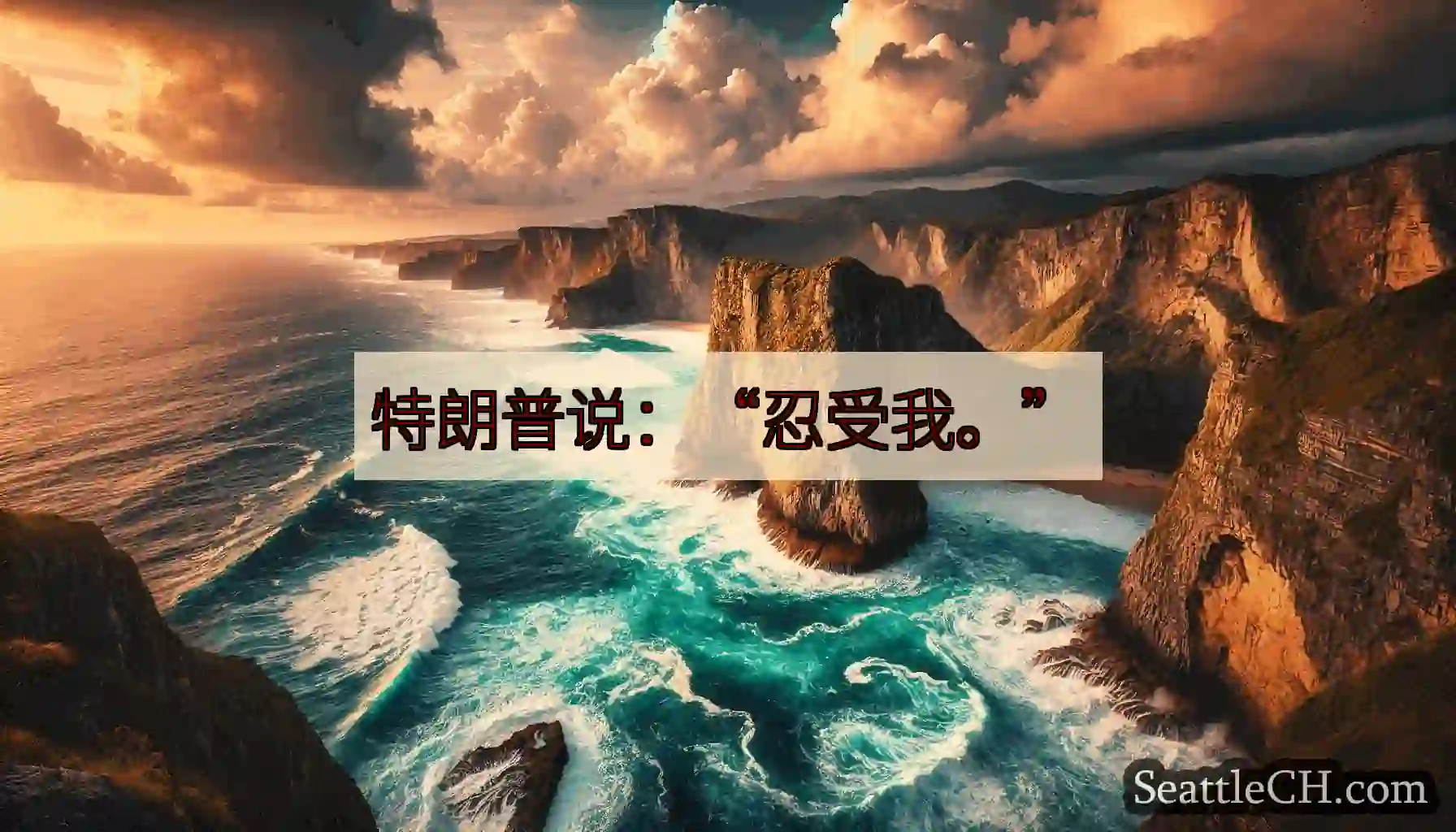 特朗普说：“忍受我。”