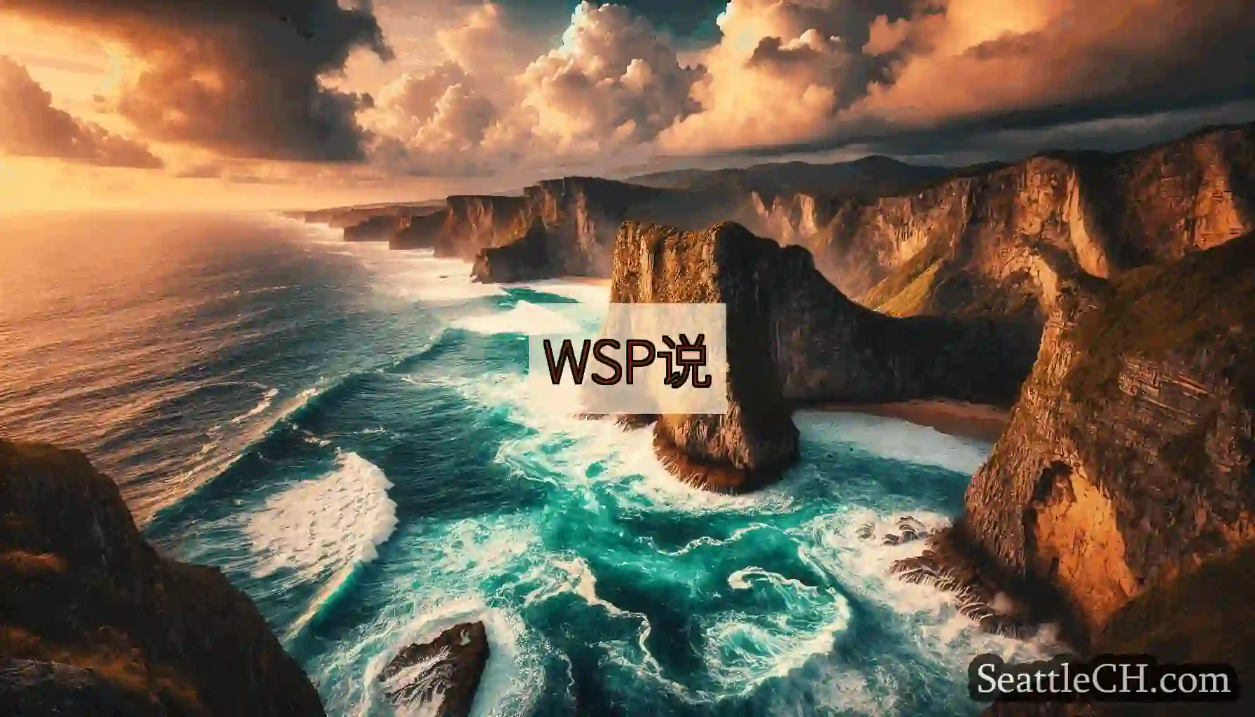 WSP说