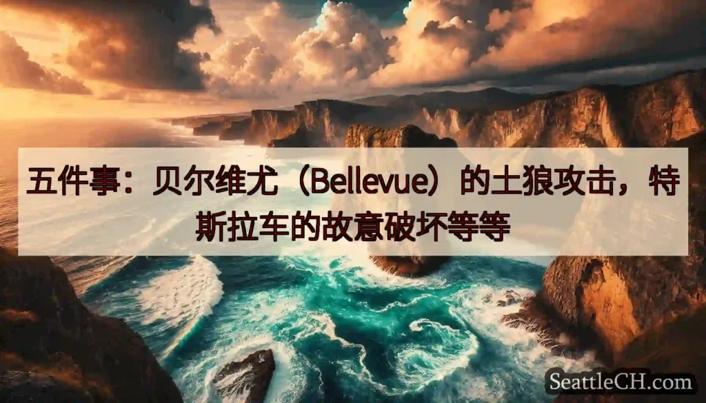 五件事：贝尔维尤（Bellevue）的土狼攻击，特斯拉车的故意破坏等等