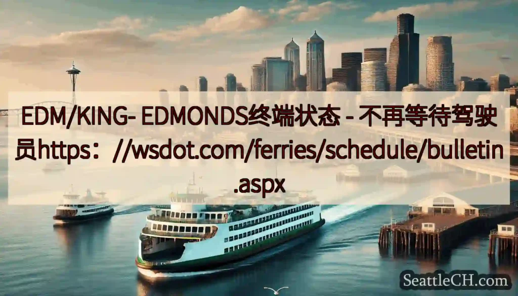 EDM/KING- EDMONDS终端状态 -