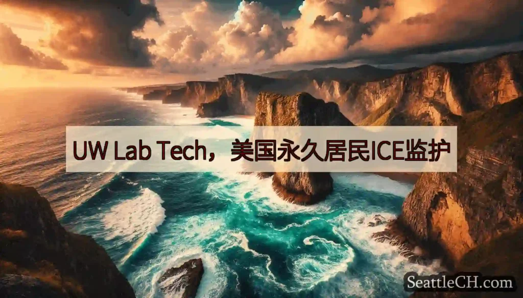 UW Lab Tech，美国永久居民ICE监护