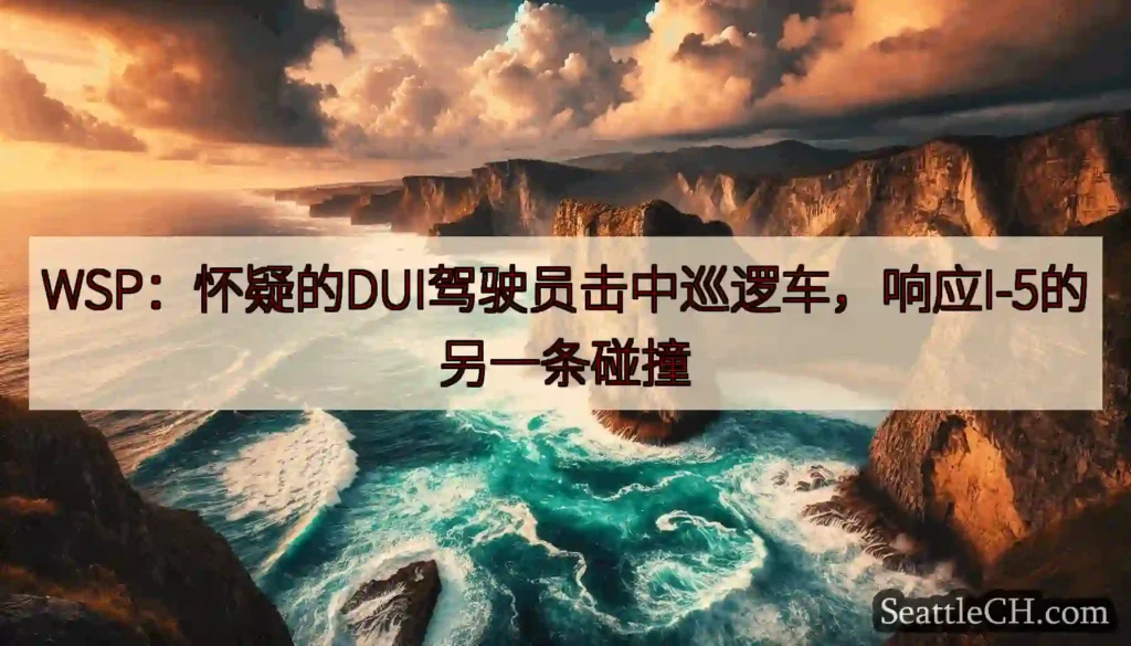 WSP：怀疑的DUI驾驶员击中巡逻车，响应I-5的另一条碰撞