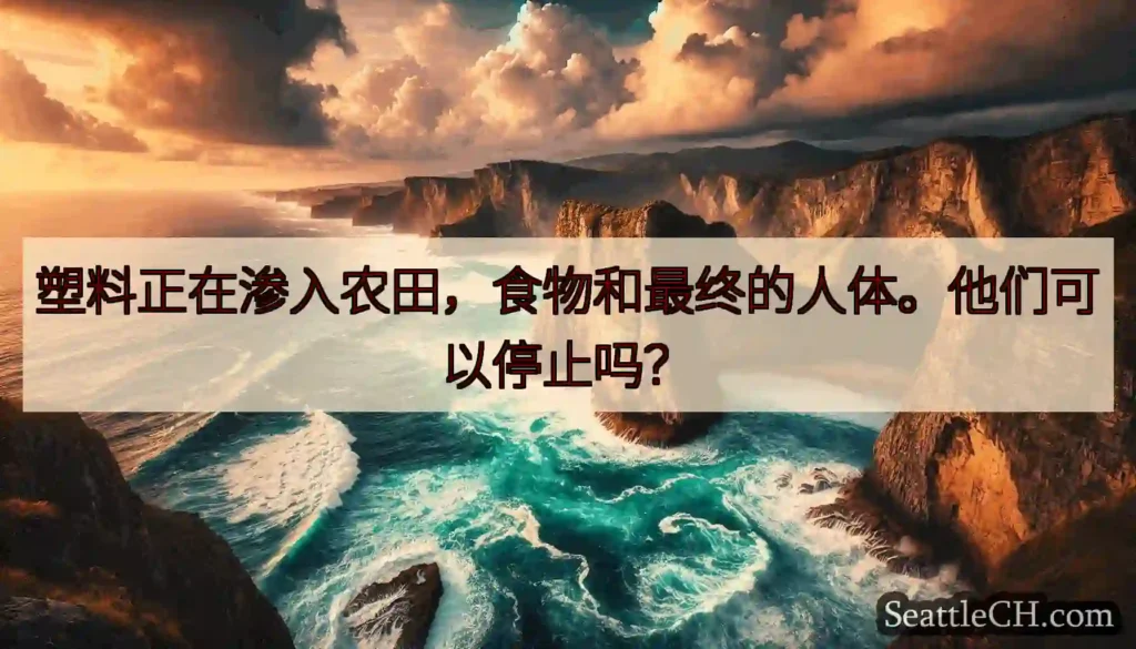 塑料正在渗入农田，食物和最终的人体。他们可以停止吗？