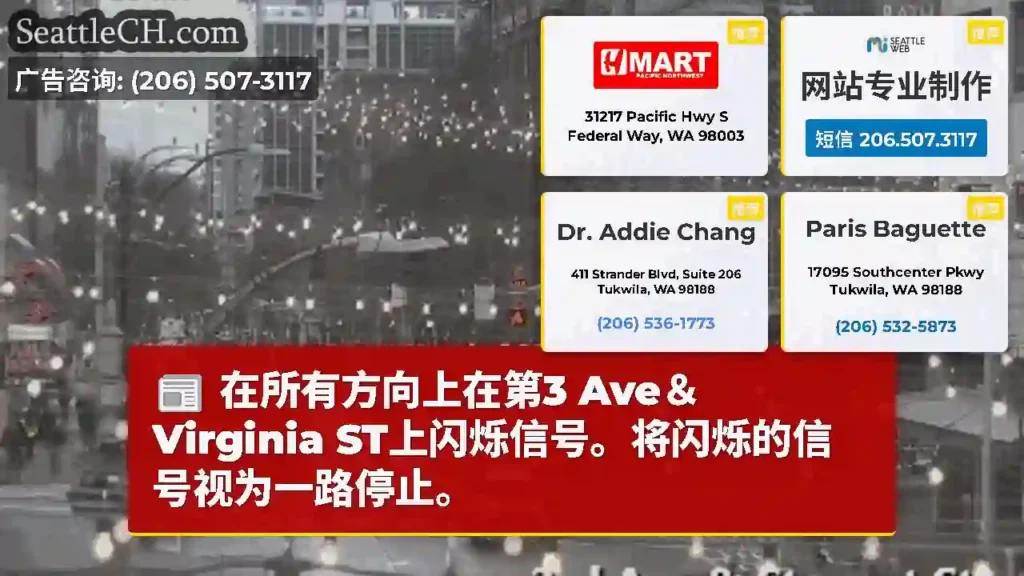 在所有方向上在第3 Ave＆Virginia ST上闪烁信号。将闪烁的信号视为一路停止。