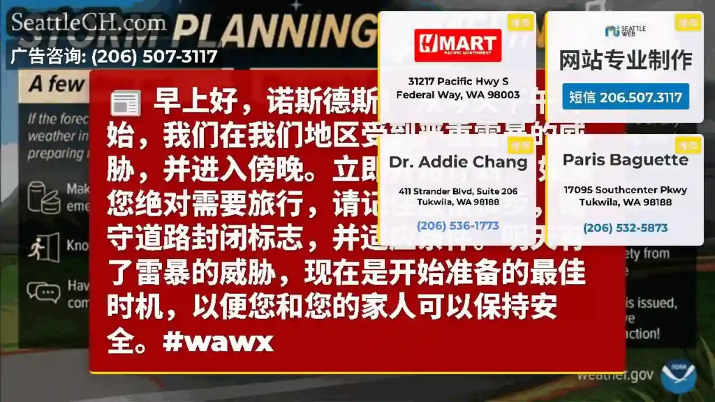 早上好，诺斯德斯！