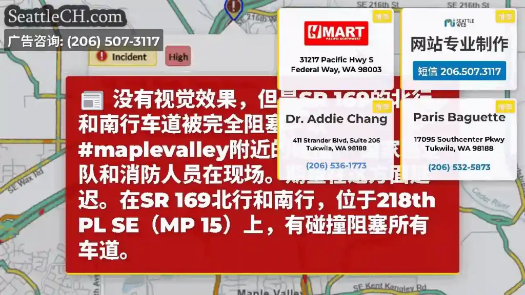 没有视觉效果，但是SR 169的北行和南行车道被完全阻塞，以#maplevalley附近的碰撞。