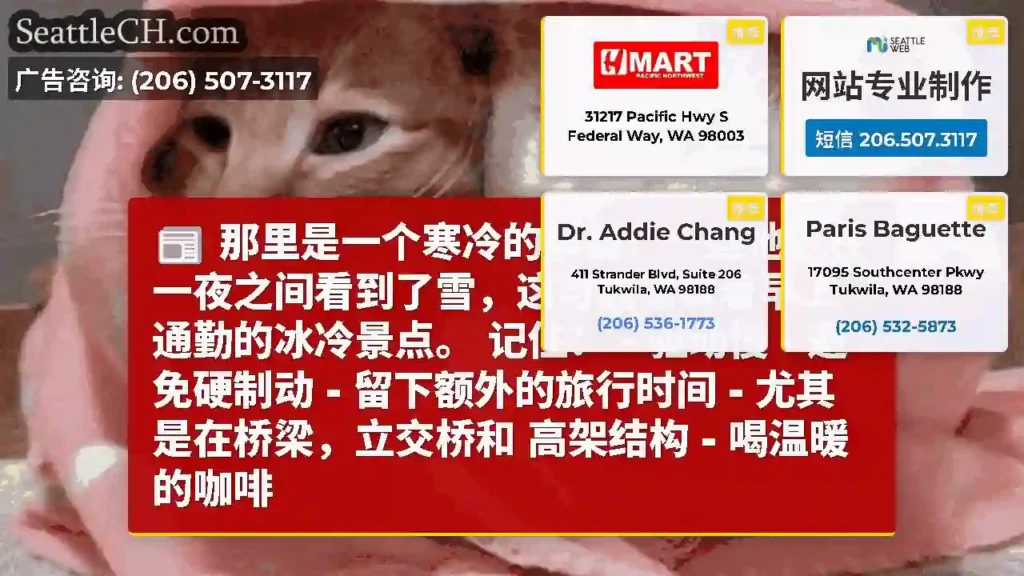 那里是一个寒冷的早晨！一些地区在一夜之间看到了雪，这可能意味着早上通勤的冰冷景点。