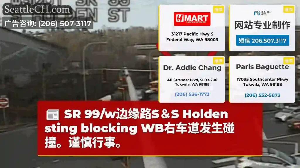 SR 99/w边缘路S＆S Holden sting blocking