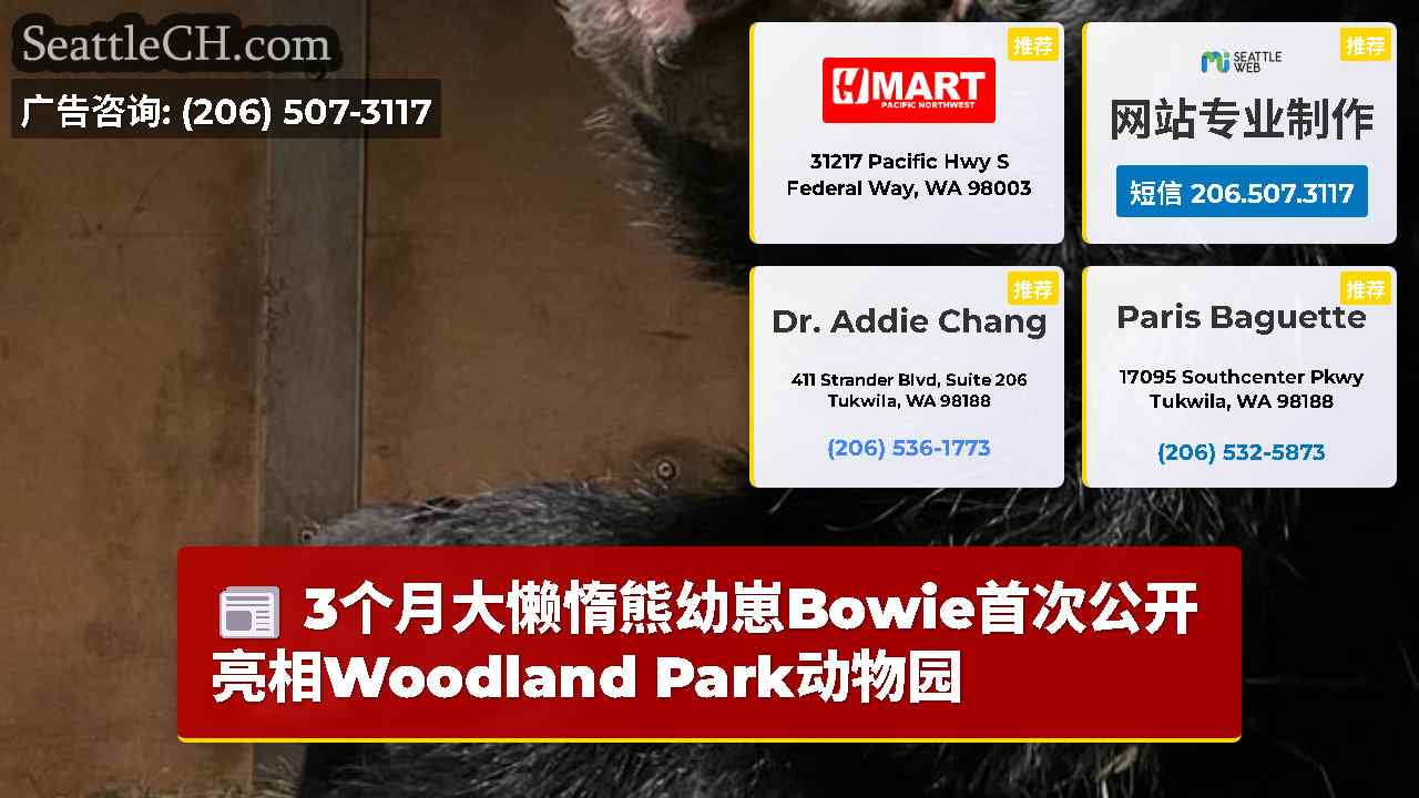 西雅图新闻 SeattleCH