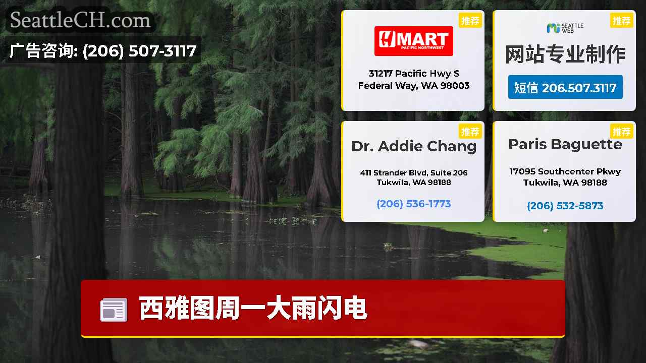 西雅图新闻 SeattleCH