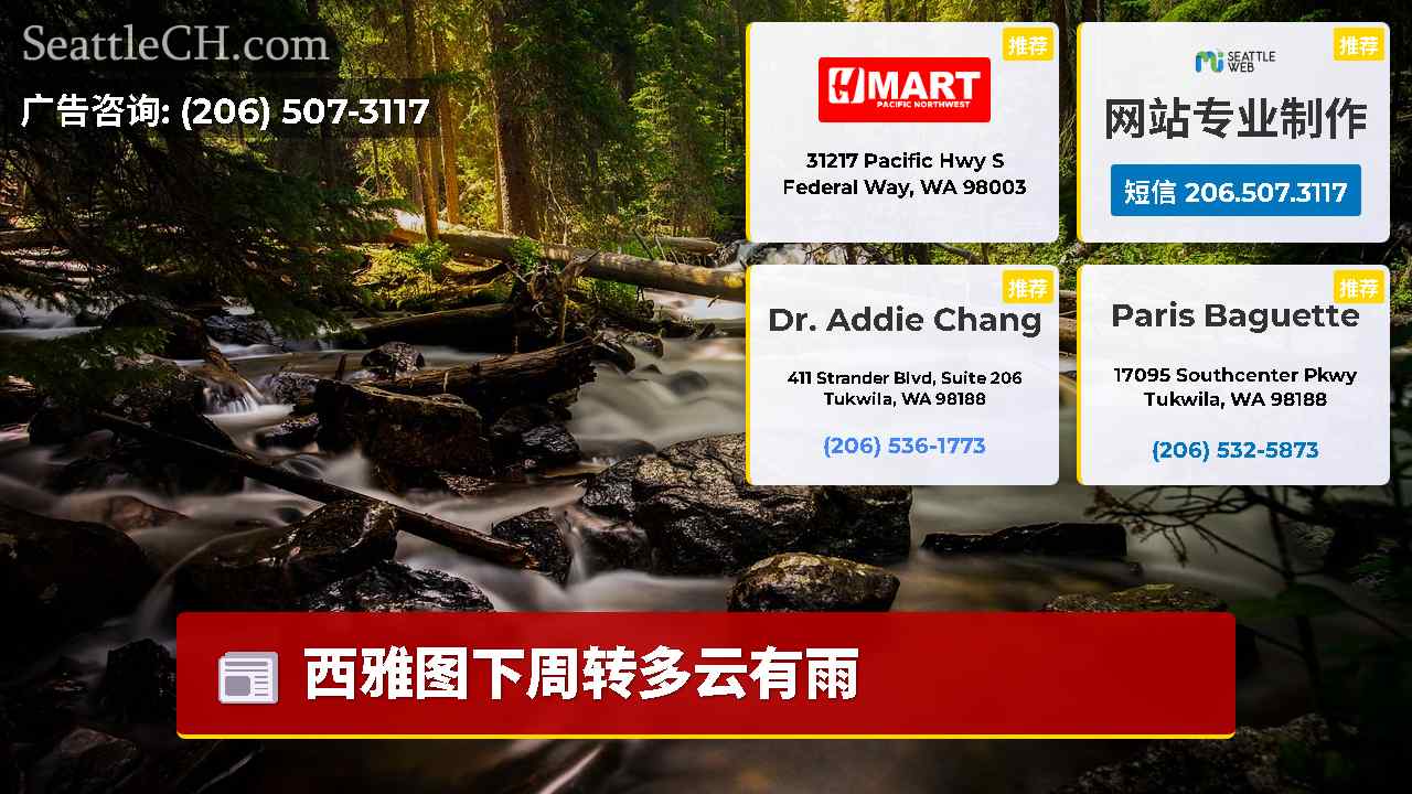 西雅图新闻 SeattleCH