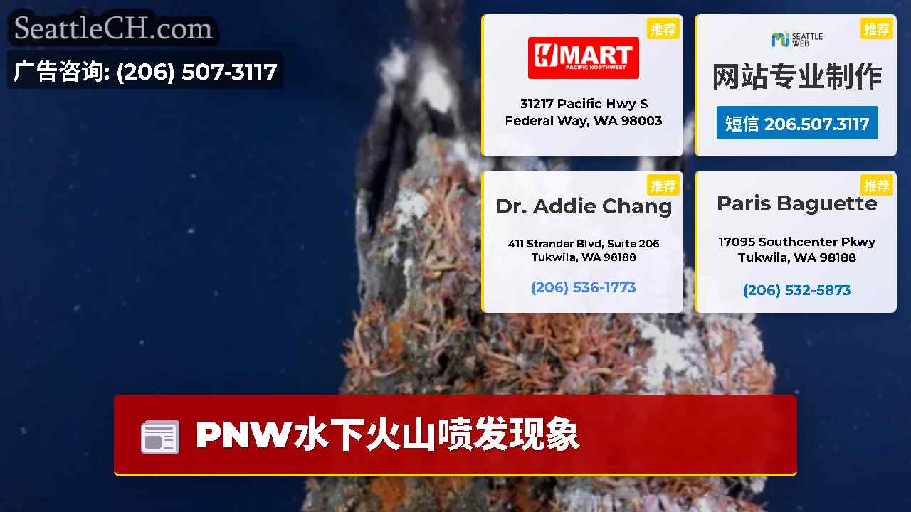 西雅图新闻 SeattleCH
