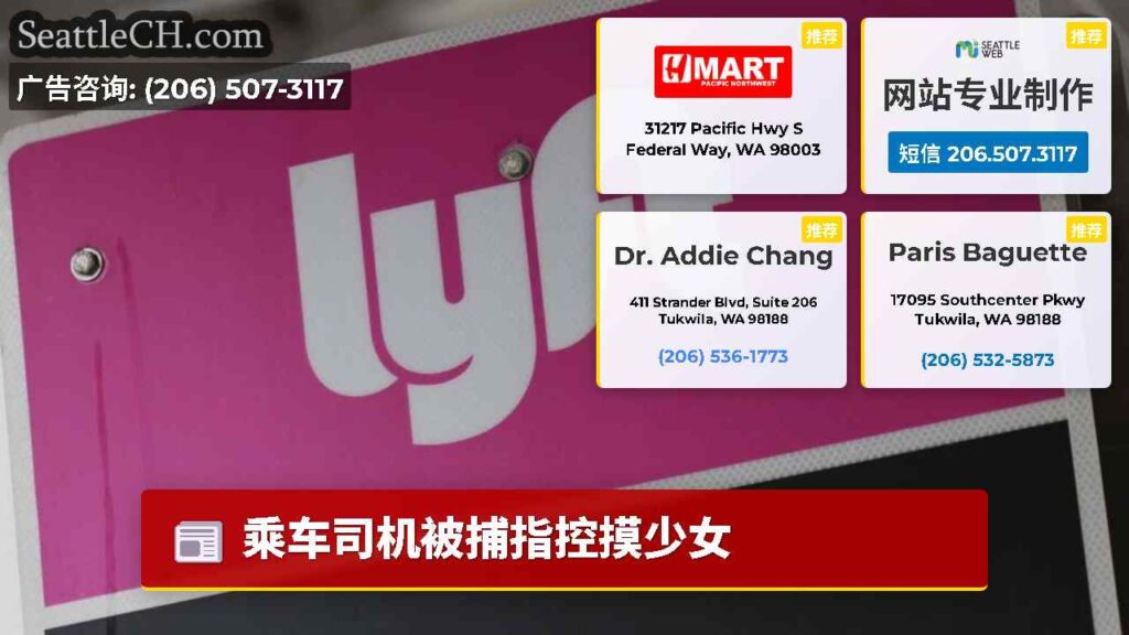 乘车司机被捕指控摸少女